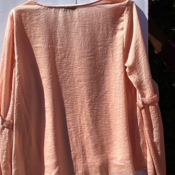 Chiffon Pink Blouse - Picture 4 of 14